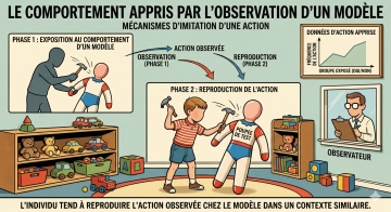 Exp&eacute;rience de la poup&eacute;e Bobo (Bandura)